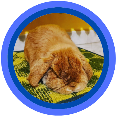 Diego Ribas da Cunha